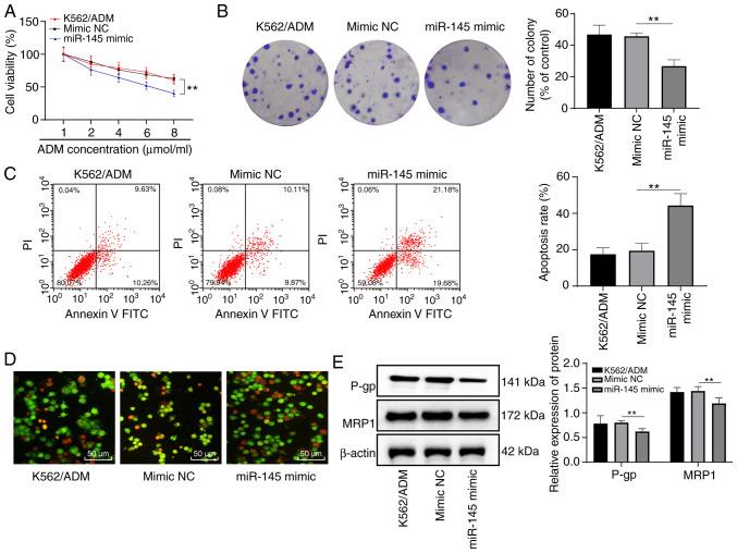 https://cdn.ncbi.nlm.nih.gov/pmc/blobs/abe7/7447303/eb53e4d74309/IJMM-46-04-1289-g02.jpg
