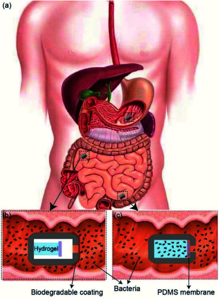 https://cdn.ncbi.nlm.nih.gov/pmc/blobs/abe7/9052936/7130a28b28af/c9ra10986b-f1.jpg