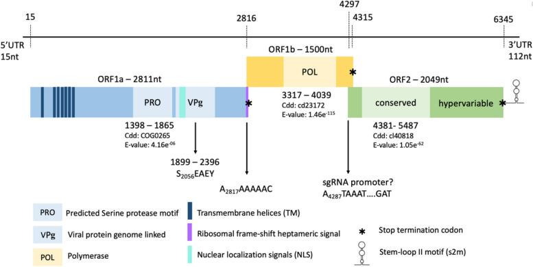 https://cdn.ncbi.nlm.nih.gov/pmc/blobs/abe8/11229208/aaf46b4a4b59/12985_2024_2423_Fig2_HTML.jpg