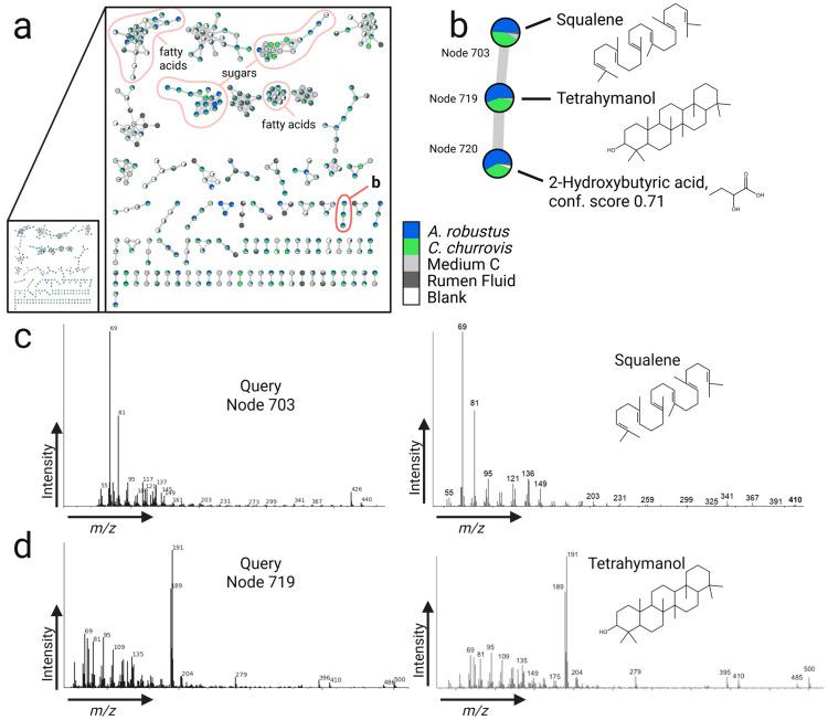 https://cdn.ncbi.nlm.nih.gov/pmc/blobs/abe9/12471499/f9769d1122f1/metabolites-15-00578-g003.jpg