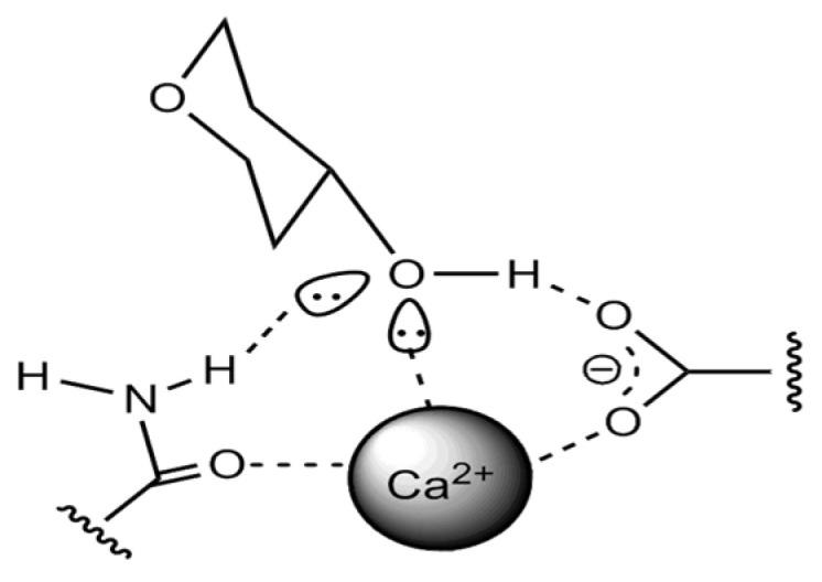 https://cdn.ncbi.nlm.nih.gov/pmc/blobs/abea/8838744/4e247a7c92e3/molecules-27-00740-g002.jpg