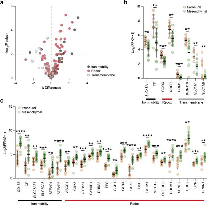 https://cdn.ncbi.nlm.nih.gov/pmc/blobs/abeb/11377710/1c12cc5b27f5/41598_2024_72024_Fig6_HTML.jpg