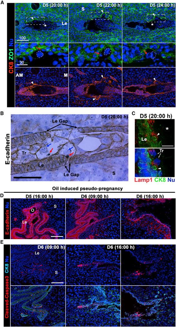 https://cdn.ncbi.nlm.nih.gov/pmc/blobs/abeb/5089169/9722b55b44da/nihms825134f3.jpg