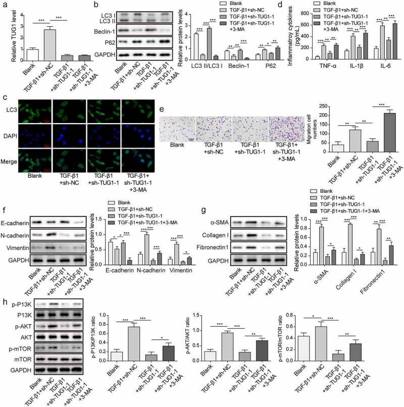 https://cdn.ncbi.nlm.nih.gov/pmc/blobs/abed/10072061/6666ec81c4dc/KEPI_A_2195305_F0003_OC.jpg