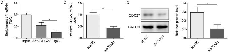 https://cdn.ncbi.nlm.nih.gov/pmc/blobs/abed/10072061/bc82fb214a0a/KEPI_A_2195305_F0004_B.jpg
