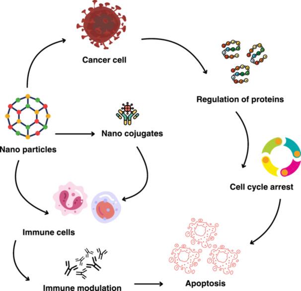 https://cdn.ncbi.nlm.nih.gov/pmc/blobs/abed/12086657/008742548dc2/HSR2-8-e70647-g001.jpg