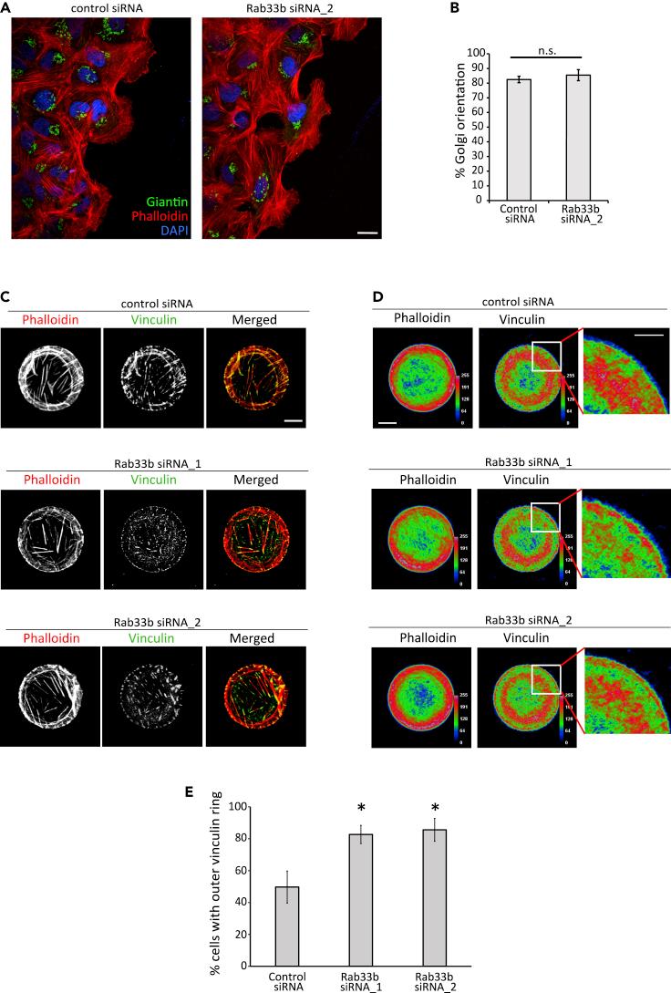 https://cdn.ncbi.nlm.nih.gov/pmc/blobs/abed/9061791/2e8334ef5b4a/gr3.jpg