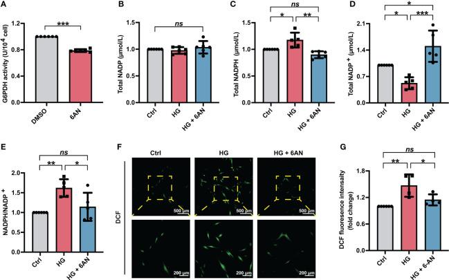https://cdn.ncbi.nlm.nih.gov/pmc/blobs/abee/10282952/909071dd5882/fendo-14-1152845-g003.jpg