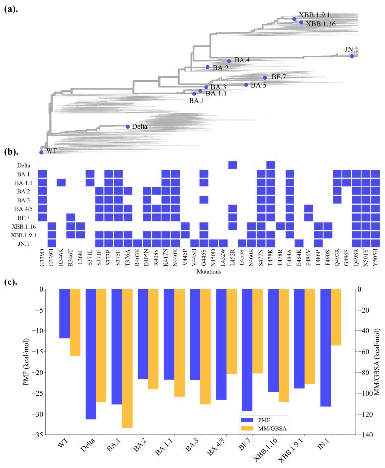 https://cdn.ncbi.nlm.nih.gov/pmc/blobs/abf0/12027596/434e14ea0df5/ijms-26-03776-g001.jpg