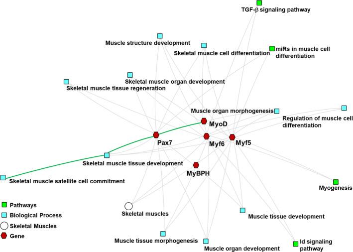 https://cdn.ncbi.nlm.nih.gov/pmc/blobs/abf0/8136949/241d851d7bd0/VMS3-7-735-g001.jpg