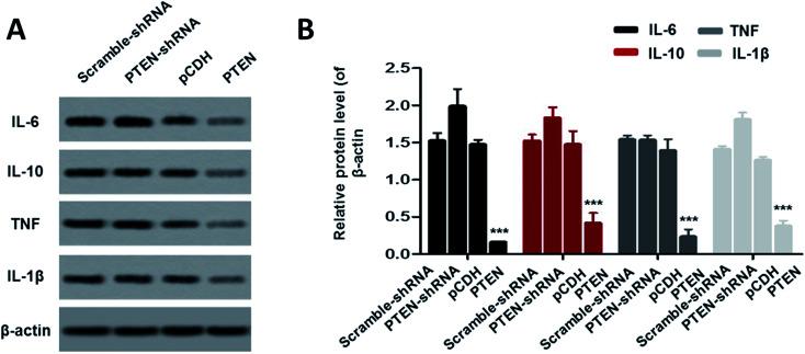 https://cdn.ncbi.nlm.nih.gov/pmc/blobs/abf0/9060792/755dfe481ca3/c8ra08998a-f6.jpg