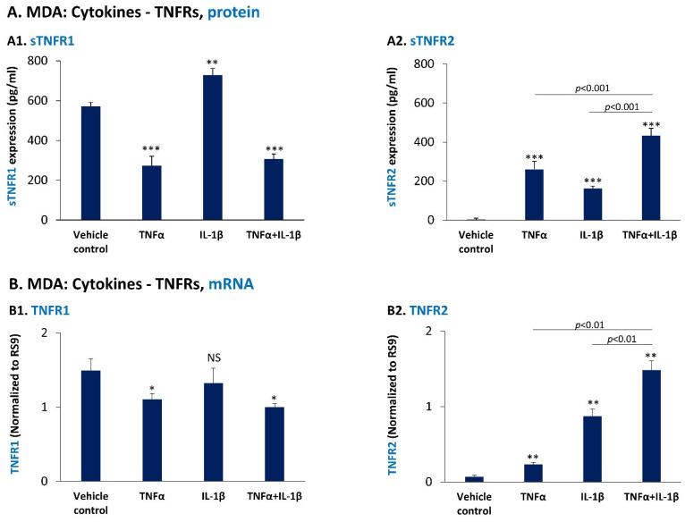 https://cdn.ncbi.nlm.nih.gov/pmc/blobs/abf0/9323351/07bfb97afdac/cancers-14-03513-g007.jpg
