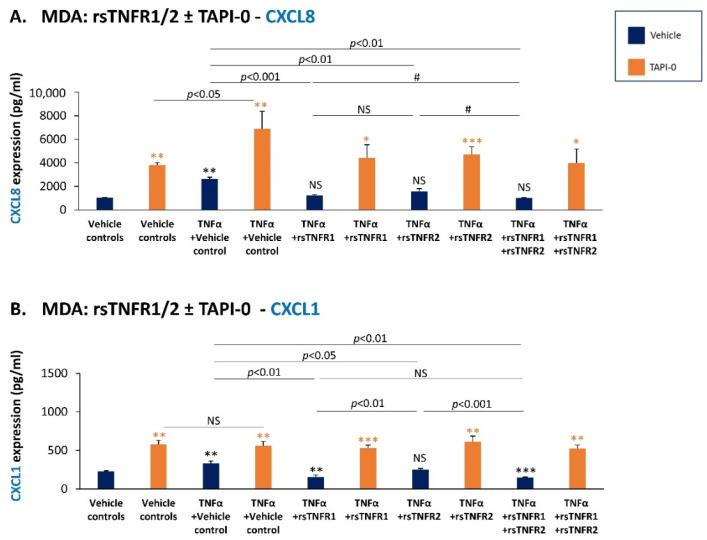 https://cdn.ncbi.nlm.nih.gov/pmc/blobs/abf0/9323351/c0ca13119c41/cancers-14-03513-g009.jpg