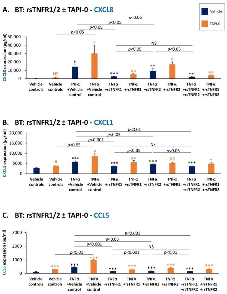 https://cdn.ncbi.nlm.nih.gov/pmc/blobs/abf0/9323351/c73e86e9bdb7/cancers-14-03513-g010.jpg
