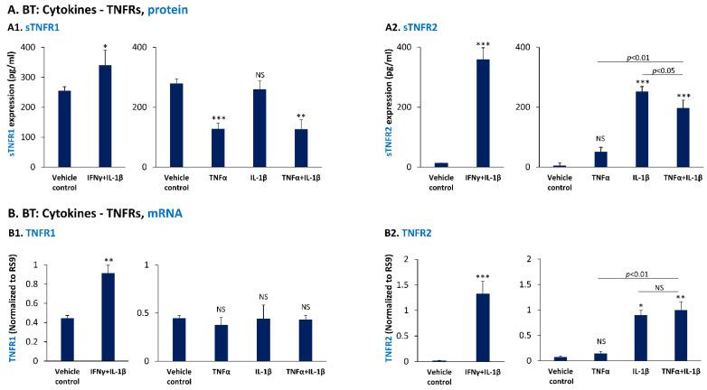https://cdn.ncbi.nlm.nih.gov/pmc/blobs/abf0/9323351/c8b790fbdbd8/cancers-14-03513-g008.jpg