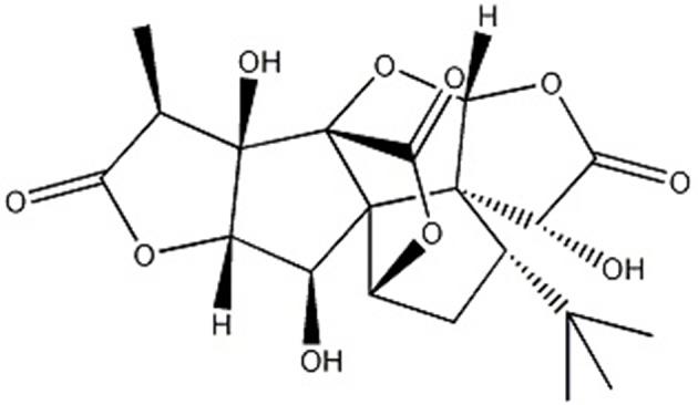 https://cdn.ncbi.nlm.nih.gov/pmc/blobs/abf3/6807679/e2fb05e29014/fphys-10-01292-g0001.jpg