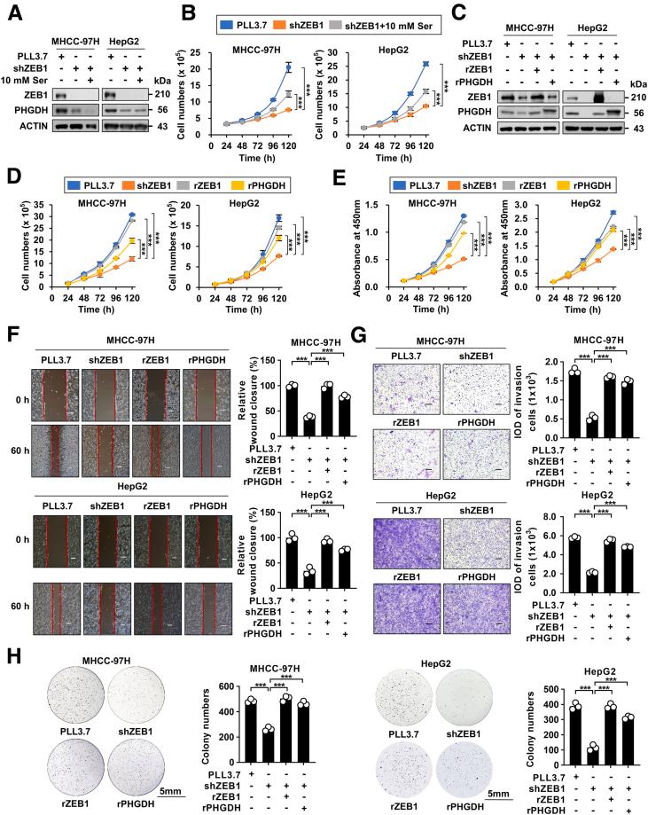 https://cdn.ncbi.nlm.nih.gov/pmc/blobs/abf5/10469392/74659534b3bd/gr4.jpg