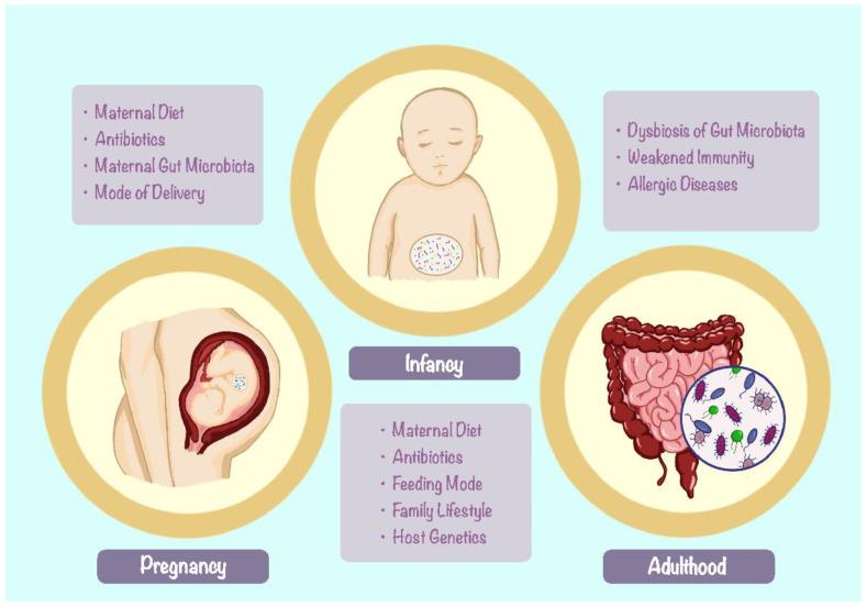 https://cdn.ncbi.nlm.nih.gov/pmc/blobs/abf8/10574749/910fc5184fee/nutrients-15-04159-g002.jpg