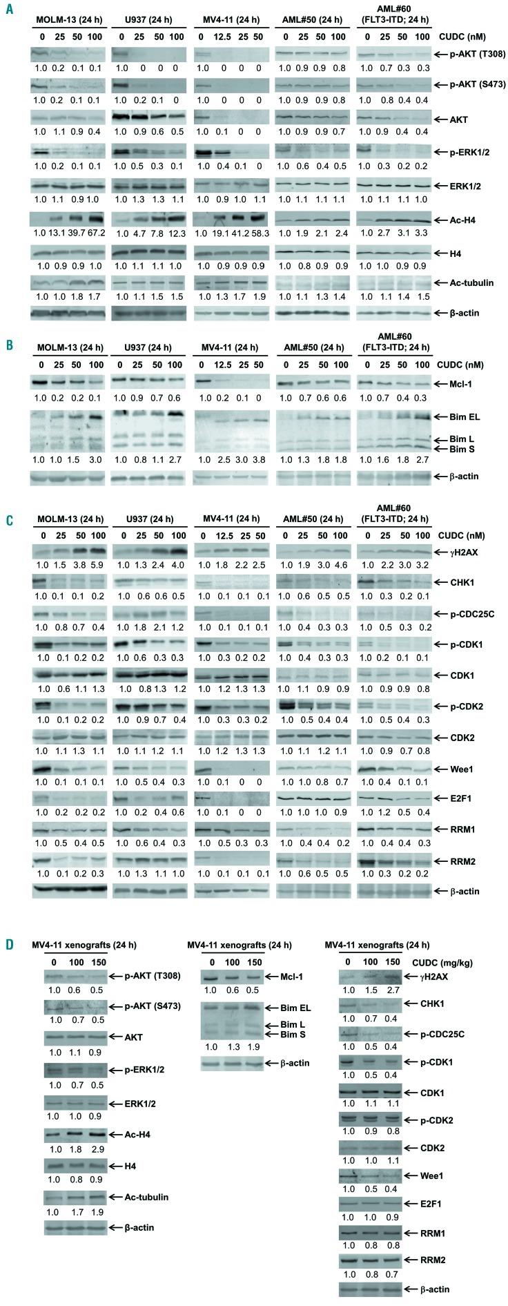 https://cdn.ncbi.nlm.nih.gov/pmc/blobs/abf8/6821619/7e05753e1d0a/1042225.fig3.jpg