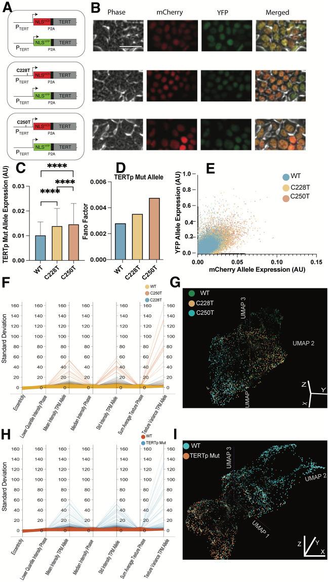 https://cdn.ncbi.nlm.nih.gov/pmc/blobs/abfa/11288469/0ac3c89a165e/pcbi.1012271.g002.jpg