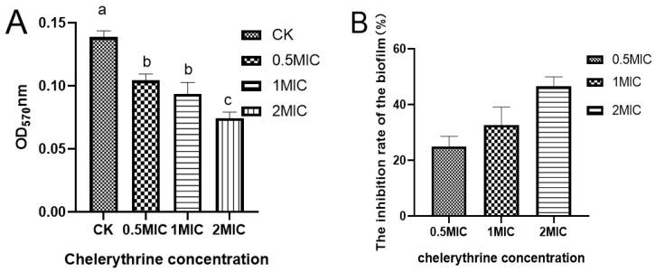 https://cdn.ncbi.nlm.nih.gov/pmc/blobs/abfb/12029680/dfd6bc335066/microorganisms-13-00953-g004.jpg
