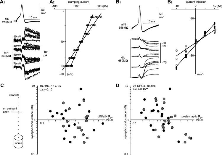 https://cdn.ncbi.nlm.nih.gov/pmc/blobs/abfc/9987577/ab745c918128/SN-JNSJ230051F008.jpg
