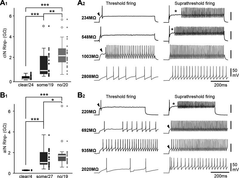 https://cdn.ncbi.nlm.nih.gov/pmc/blobs/abfc/9987577/cb485a19107f/SN-JNSJ230051F005.jpg