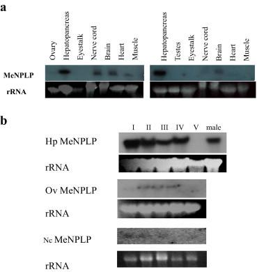 https://cdn.ncbi.nlm.nih.gov/pmc/blobs/abfd/4244560/86bc805f3711/gr4.jpg