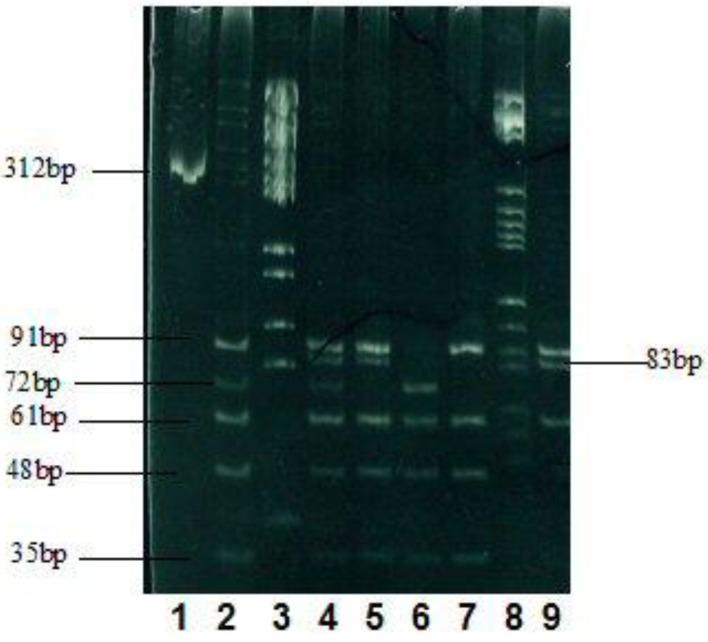 https://cdn.ncbi.nlm.nih.gov/pmc/blobs/abfd/5505306/9b110d513313/jocmr-09-695-g001.jpg