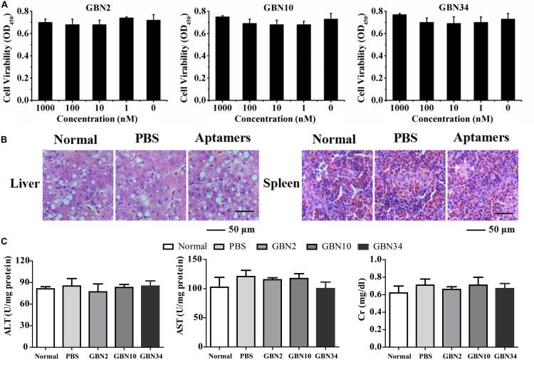 https://cdn.ncbi.nlm.nih.gov/pmc/blobs/abfd/7203557/8f5bccd9daa5/fmicb-11-00660-g003.jpg