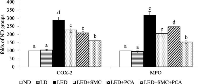 https://cdn.ncbi.nlm.nih.gov/pmc/blobs/abfd/8591768/58ecc191f72e/IJBMS-24-1146-g004.jpg