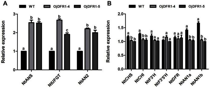 https://cdn.ncbi.nlm.nih.gov/pmc/blobs/abfe/8541326/1d75603abf10/peerj-09-12323-g008.jpg
