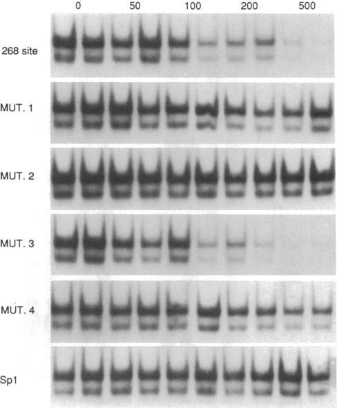 https://cdn.ncbi.nlm.nih.gov/pmc/blobs/ac00/298363/4975211e1598/pnas00289-0155-a.jpg