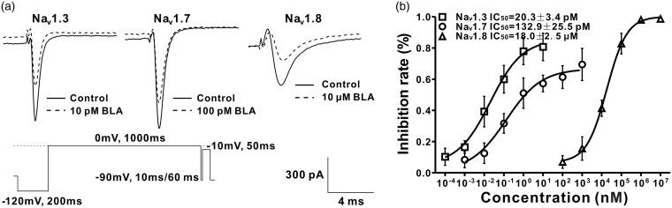 https://cdn.ncbi.nlm.nih.gov/pmc/blobs/ac00/5967161/c52bbac6f3e8/10.1177_1744806918778491-fig5.jpg