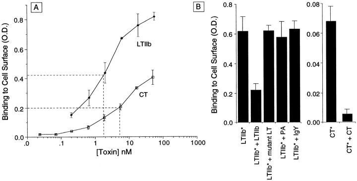 https://cdn.ncbi.nlm.nih.gov/pmc/blobs/ac01/2132772/571a40b99445/JCB29403.f1.jpg