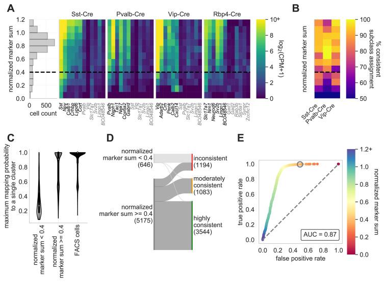 https://cdn.ncbi.nlm.nih.gov/pmc/blobs/ac04/8428855/016e4491e77c/elife-65482-fig4.jpg