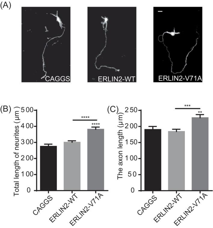 https://cdn.ncbi.nlm.nih.gov/pmc/blobs/ac05/10646992/cc2e0edff58e/ACN3-10-2139-g002.jpg