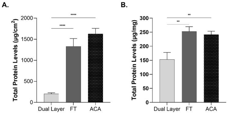 https://cdn.ncbi.nlm.nih.gov/pmc/blobs/ac06/11989501/24937f165f49/ijms-26-03406-g003.jpg