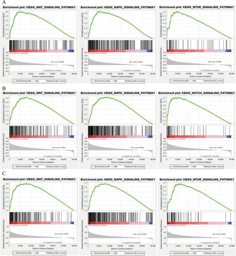 https://cdn.ncbi.nlm.nih.gov/pmc/blobs/ac09/10616101/25818ef0eb74/41598_2023_46057_Fig6_HTML.jpg