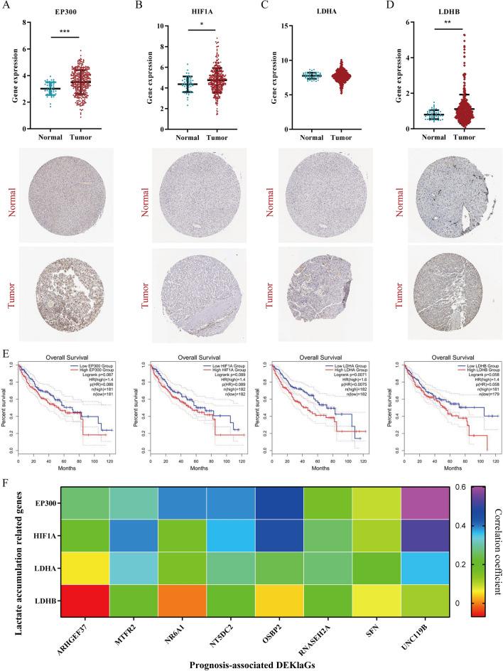 https://cdn.ncbi.nlm.nih.gov/pmc/blobs/ac09/10616101/cd2f04bfb817/41598_2023_46057_Fig2_HTML.jpg