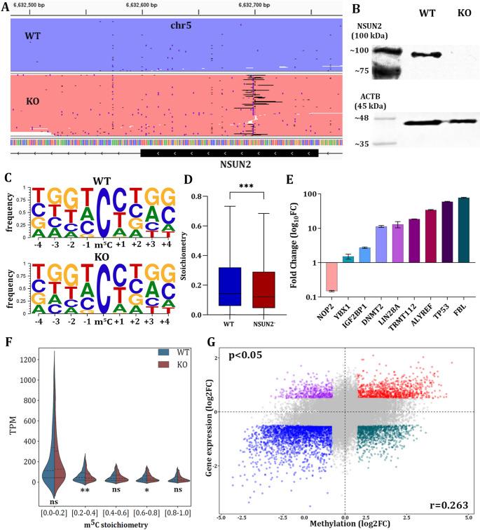 https://cdn.ncbi.nlm.nih.gov/pmc/blobs/ac09/12187793/5c304d5e3e63/10142_2025_1648_Fig3_HTML.jpg