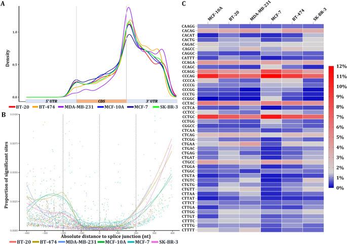 https://cdn.ncbi.nlm.nih.gov/pmc/blobs/ac09/12187793/6361bb75204d/10142_2025_1648_Fig2_HTML.jpg
