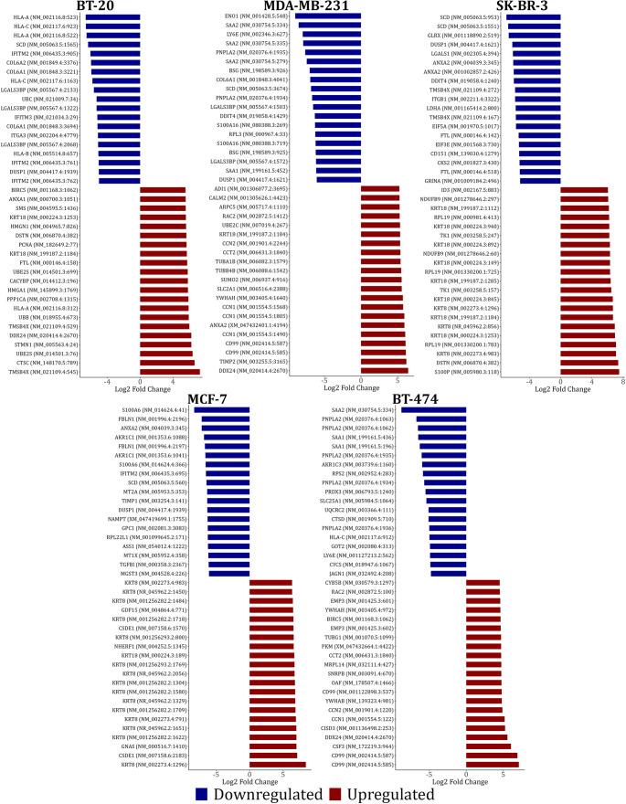 https://cdn.ncbi.nlm.nih.gov/pmc/blobs/ac09/12187793/8b8944cc8cb4/10142_2025_1648_Fig7_HTML.jpg