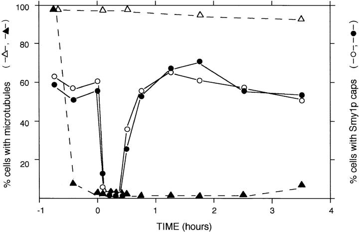 https://cdn.ncbi.nlm.nih.gov/pmc/blobs/ac09/2141741/347788f2041c/JCB14690.f5.jpg