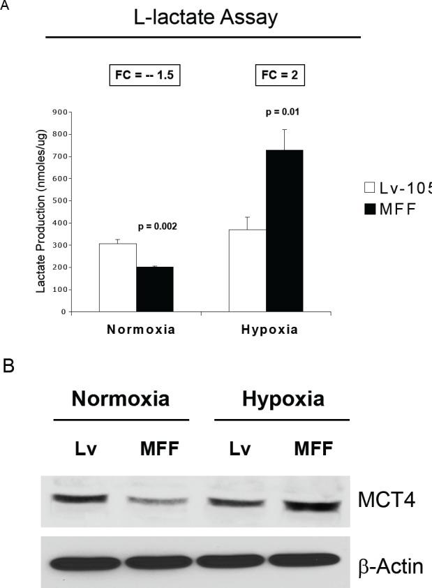 https://cdn.ncbi.nlm.nih.gov/pmc/blobs/ac09/3478457/3026b5eaea3e/oncotarget-08-798-g004.jpg