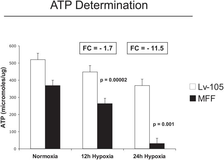https://cdn.ncbi.nlm.nih.gov/pmc/blobs/ac09/3478457/336d8796e37c/oncotarget-08-798-g003.jpg
