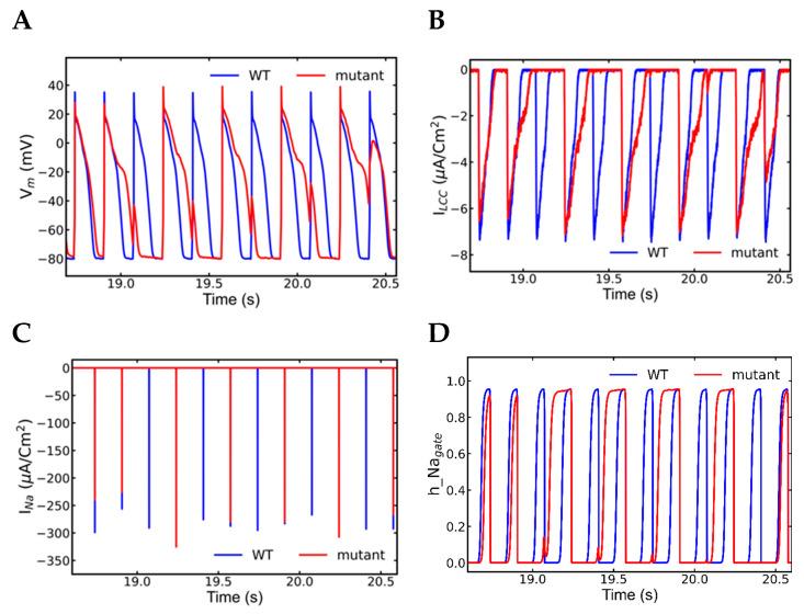https://cdn.ncbi.nlm.nih.gov/pmc/blobs/ac09/9858930/a0b0b2e2c775/genes-14-00023-g012a.jpg