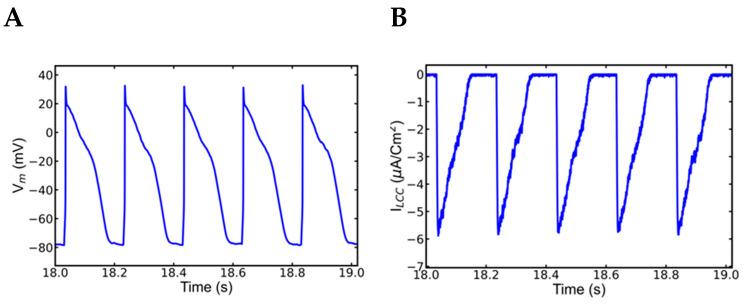 https://cdn.ncbi.nlm.nih.gov/pmc/blobs/ac09/9858930/afd5f9cbe987/genes-14-00023-g007a.jpg