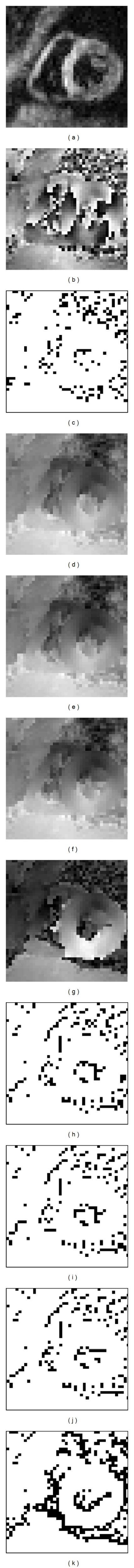 https://cdn.ncbi.nlm.nih.gov/pmc/blobs/ac0a/3984868/8cb80328a508/CMMM2014-134058.004.jpg