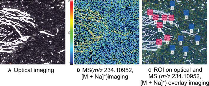 https://cdn.ncbi.nlm.nih.gov/pmc/blobs/ac0a/9950628/23499e54b47c/fpls-14-1066595-g005.jpg